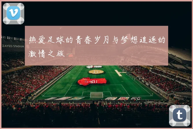 热爱足球的青春岁月与梦想追逐的激情之旅
