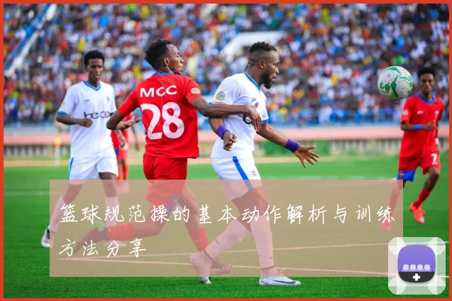 篮球规范操的基本动作解析与训练方法分享